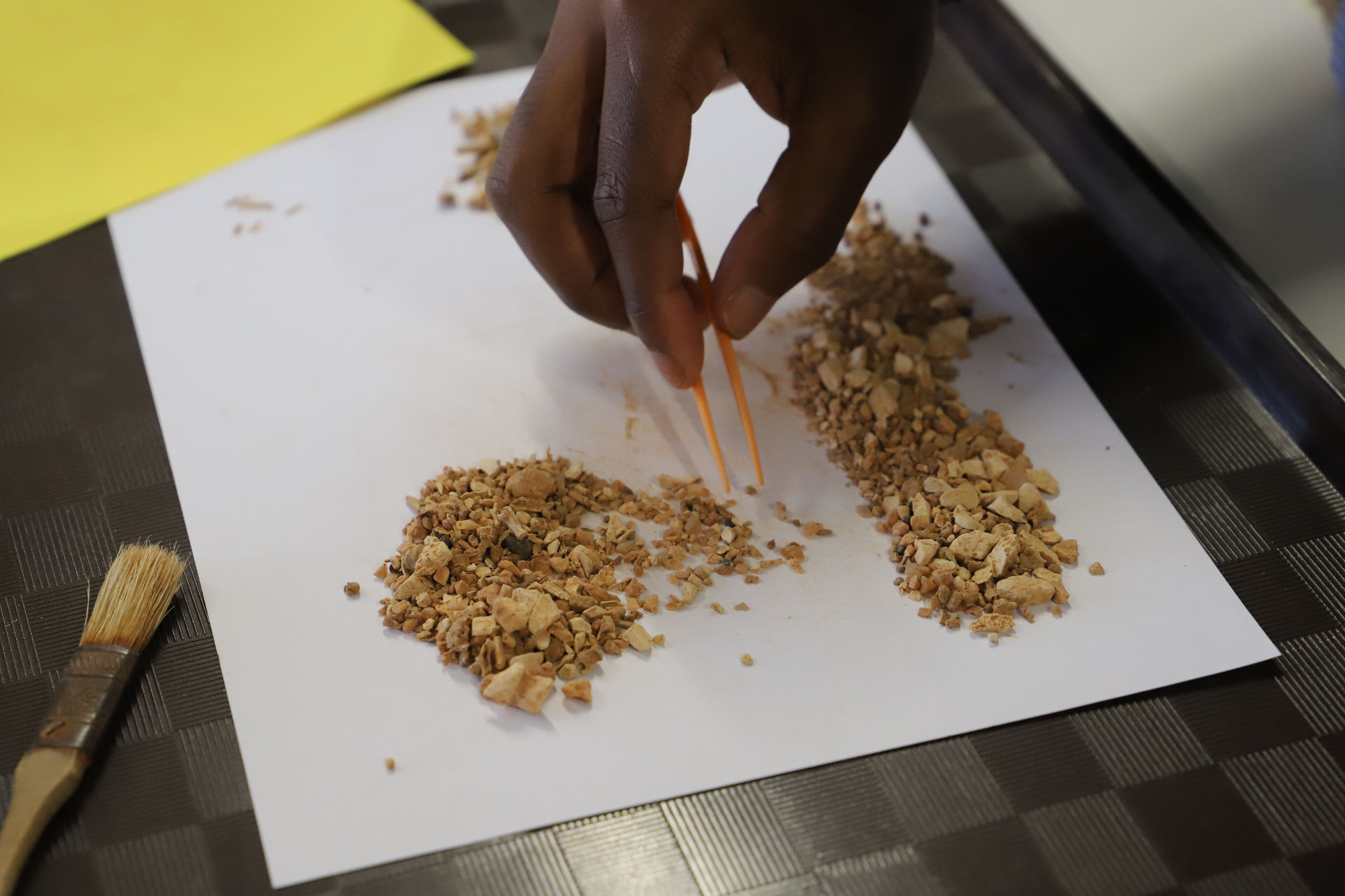 Fossil sorting