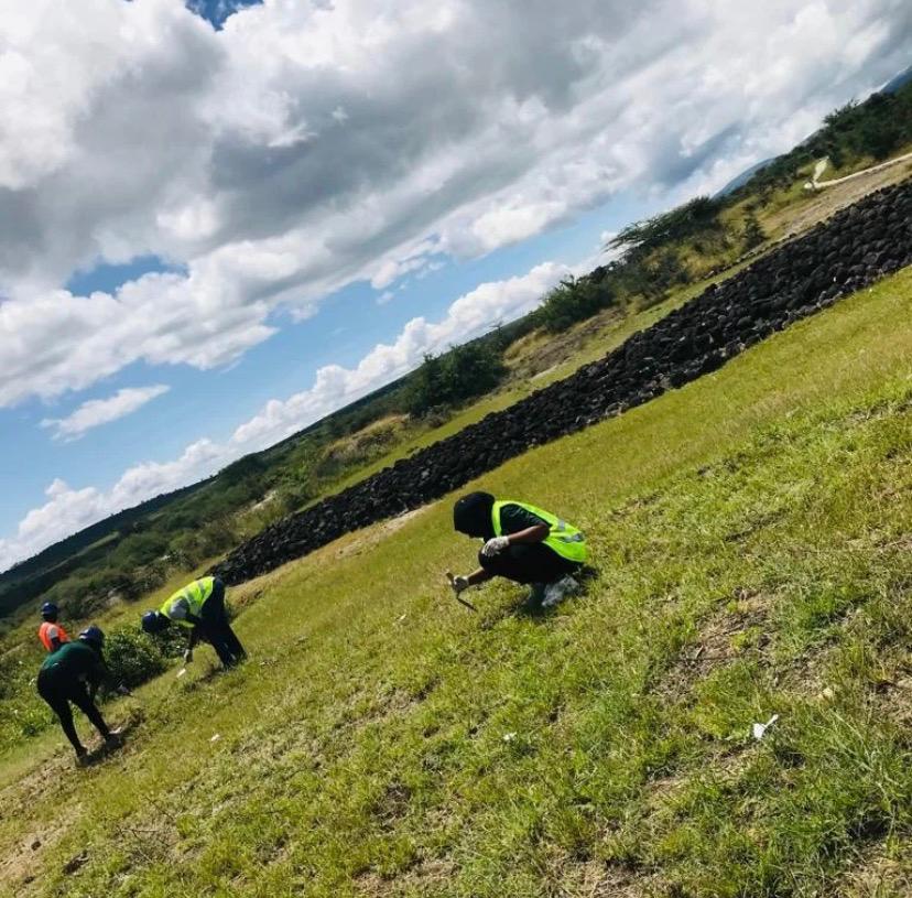 Fieldwork